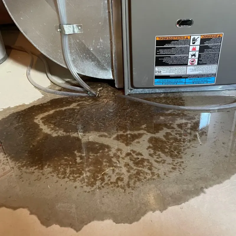 Pipe Burst and Leak Restoration in Brownsburg, IN
