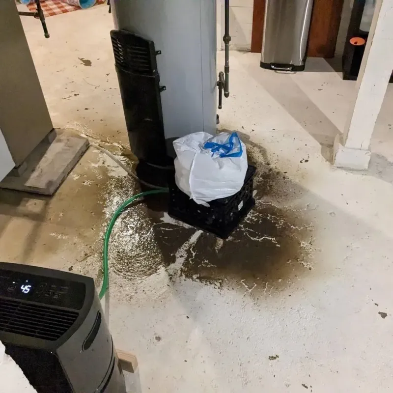 Sewage Backup Cleanup Service in Brownsburg, IN